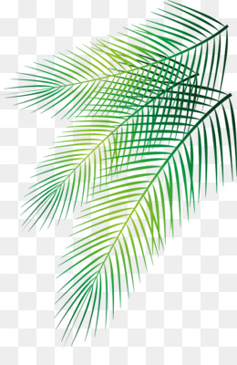 Пальмовая ветвь рисунок