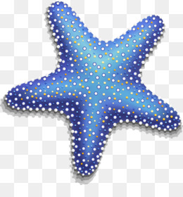 Морская звезда рисунок без фона