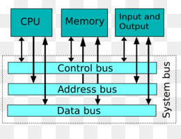 Системной шиной компьютера не является шина адреса шина управления шина данных виртуальная шина