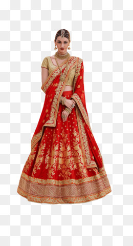 lehenga png photo