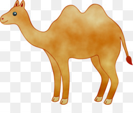 Верблюд детский рисунок